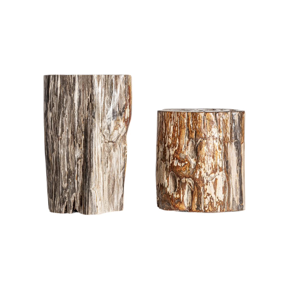 MESA AUXILIAR PIEZA ÚNICA MADERA PETRIFICADA