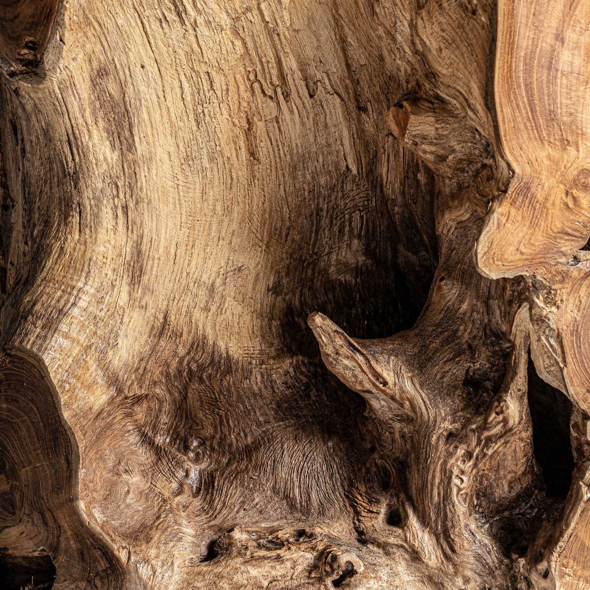 MESA DE CENTRO PIEZA ÚNICA MADERA DE TEca