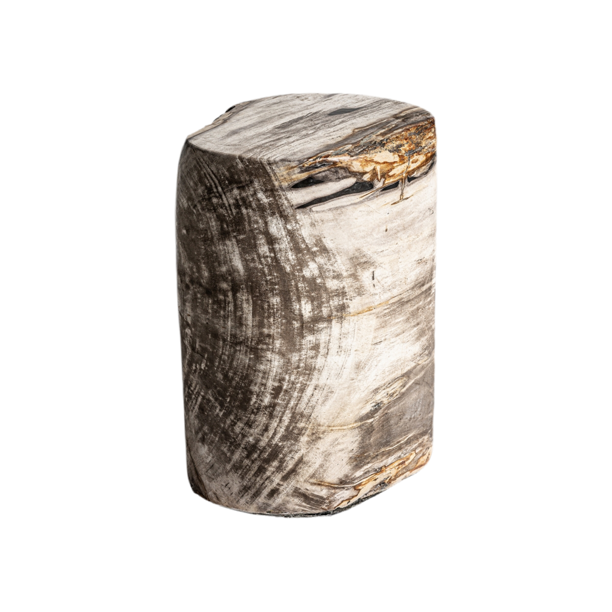 MESA AUXILIAR PIEZA ÚNICA MADERA PETRIFICADA