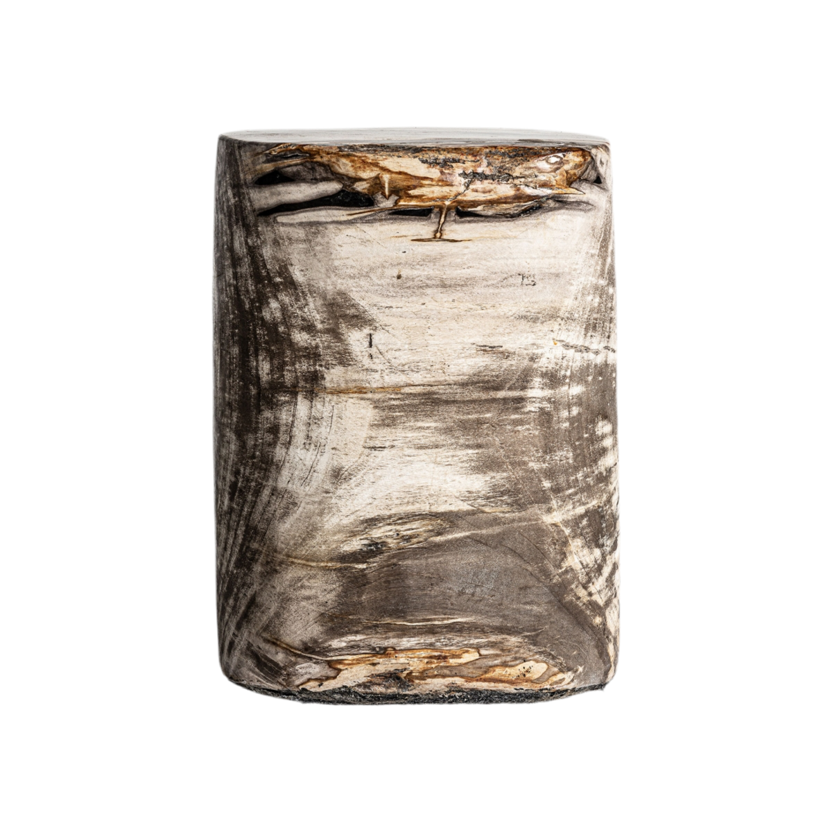 MESA AUXILIAR PIEZA ÚNICA MADERA PETRIFICADA