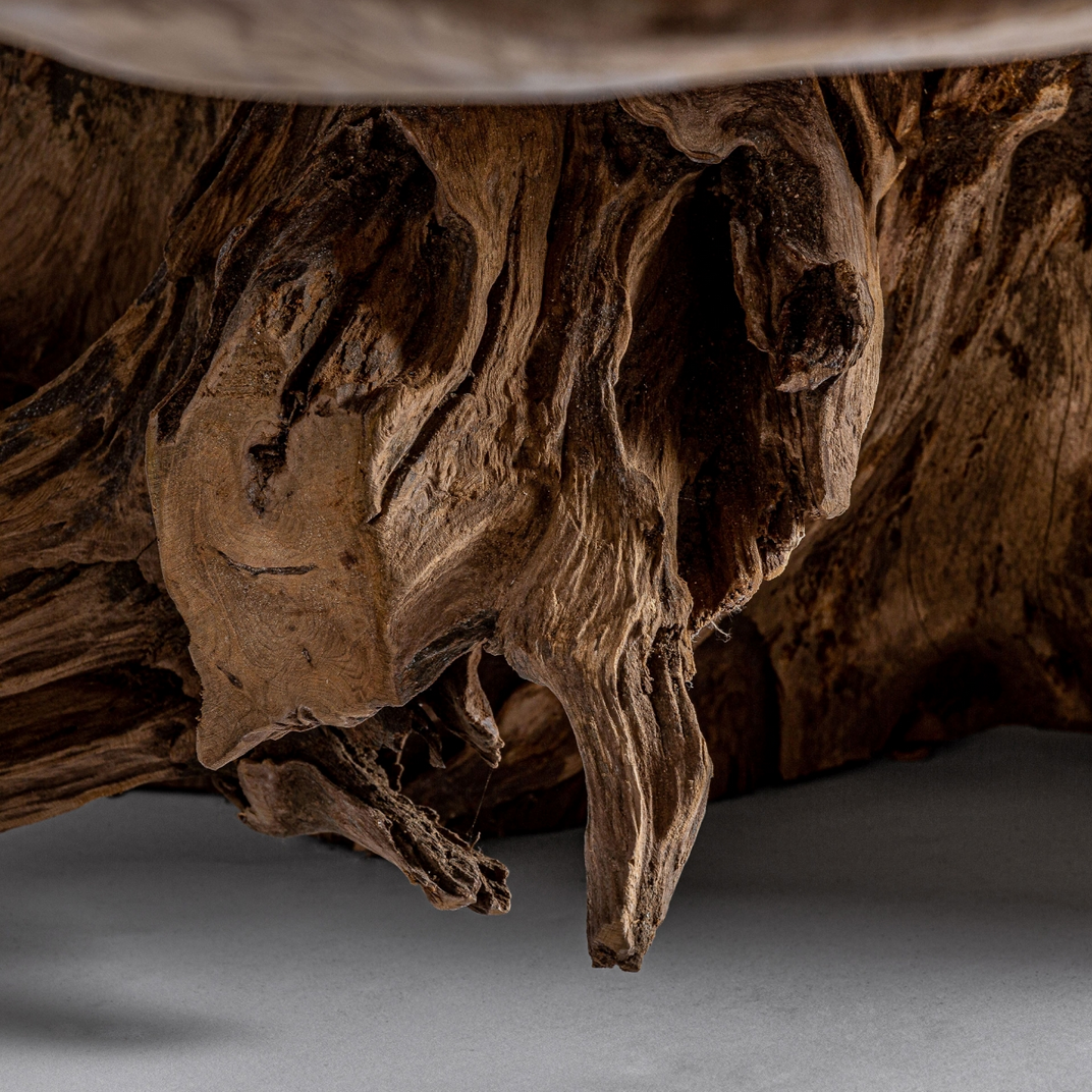 Mesa de centro tronco madera suar .